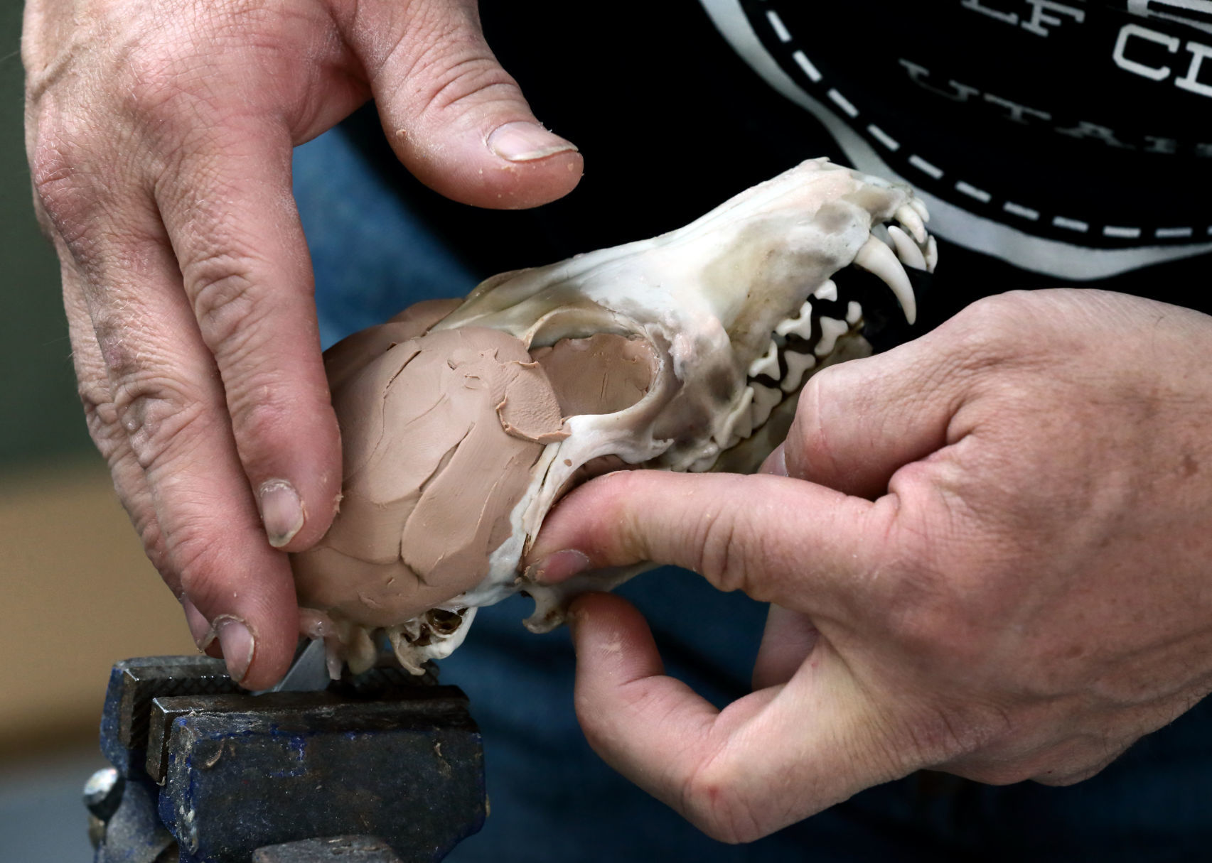 2019 World Taxidermy & Fish Carving Championships in Springfield, Mo.